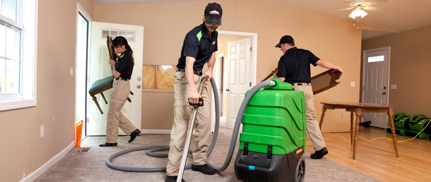 Seattle, WA cleaning services